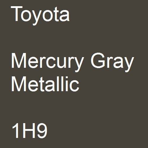 Toyota, Mercury Gray Metallic, 1H9.